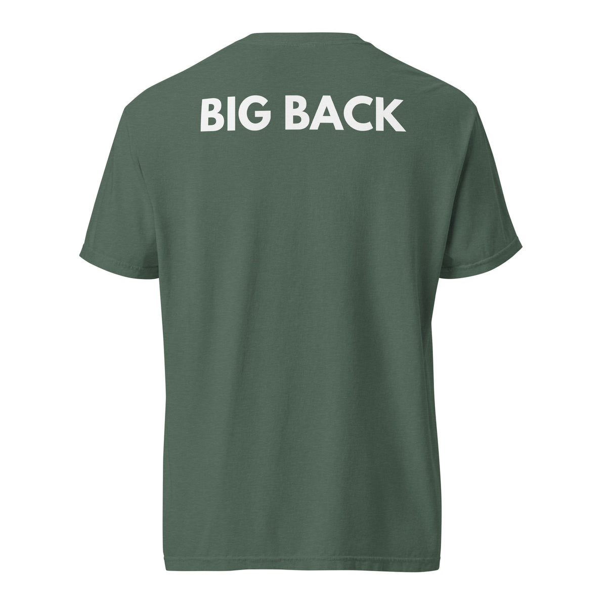 Blue Spruce T-shirt with white Big Back lettering, back view.