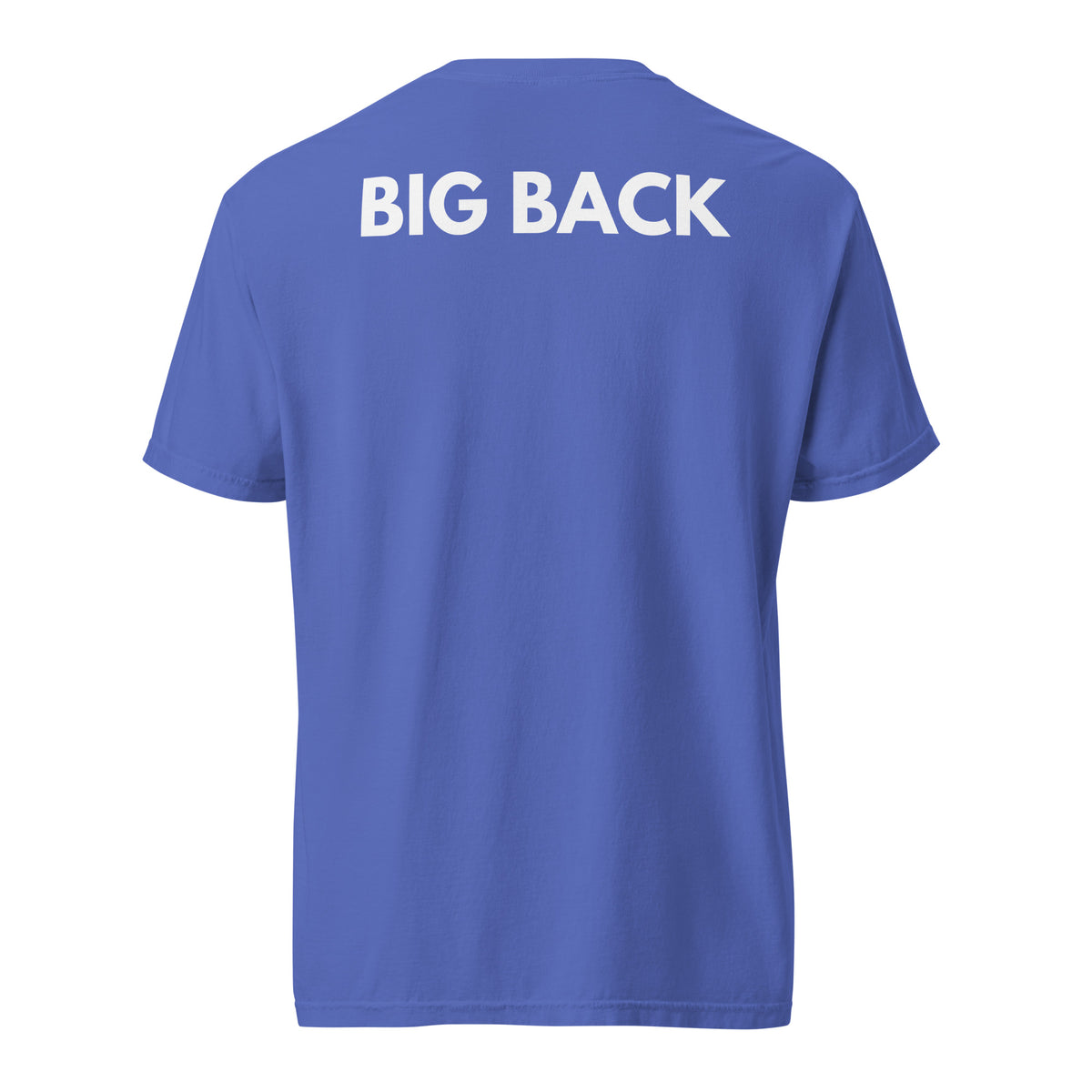 Flo Blue T-shirt with white Big Back lettering, back view.
