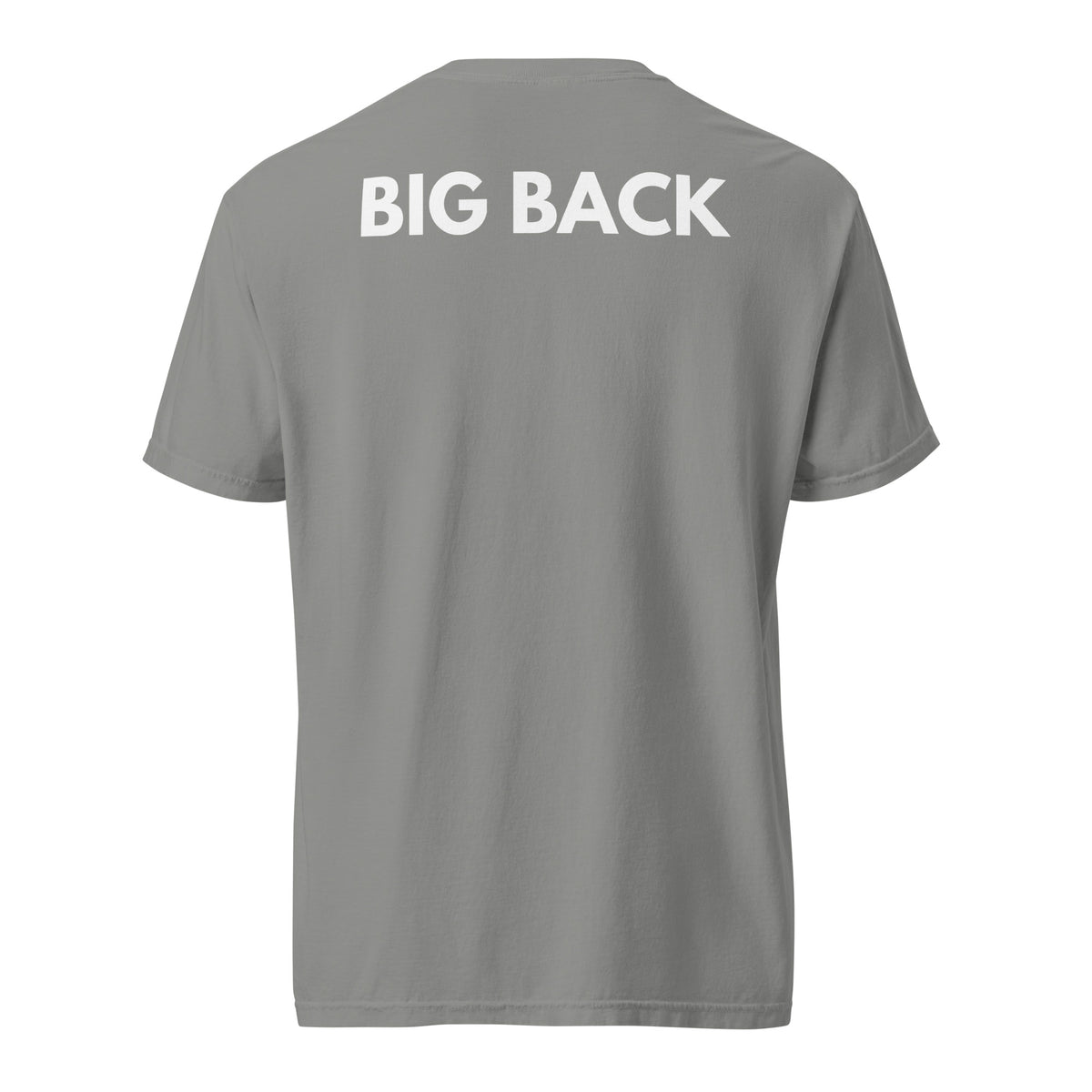 Grey T-shirt with white Big Back lettering, back view.