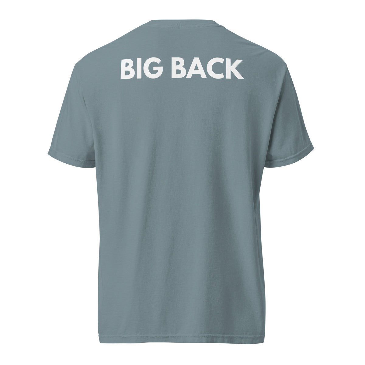 Ice Blue T-shirt with white Big Back lettering, back view.