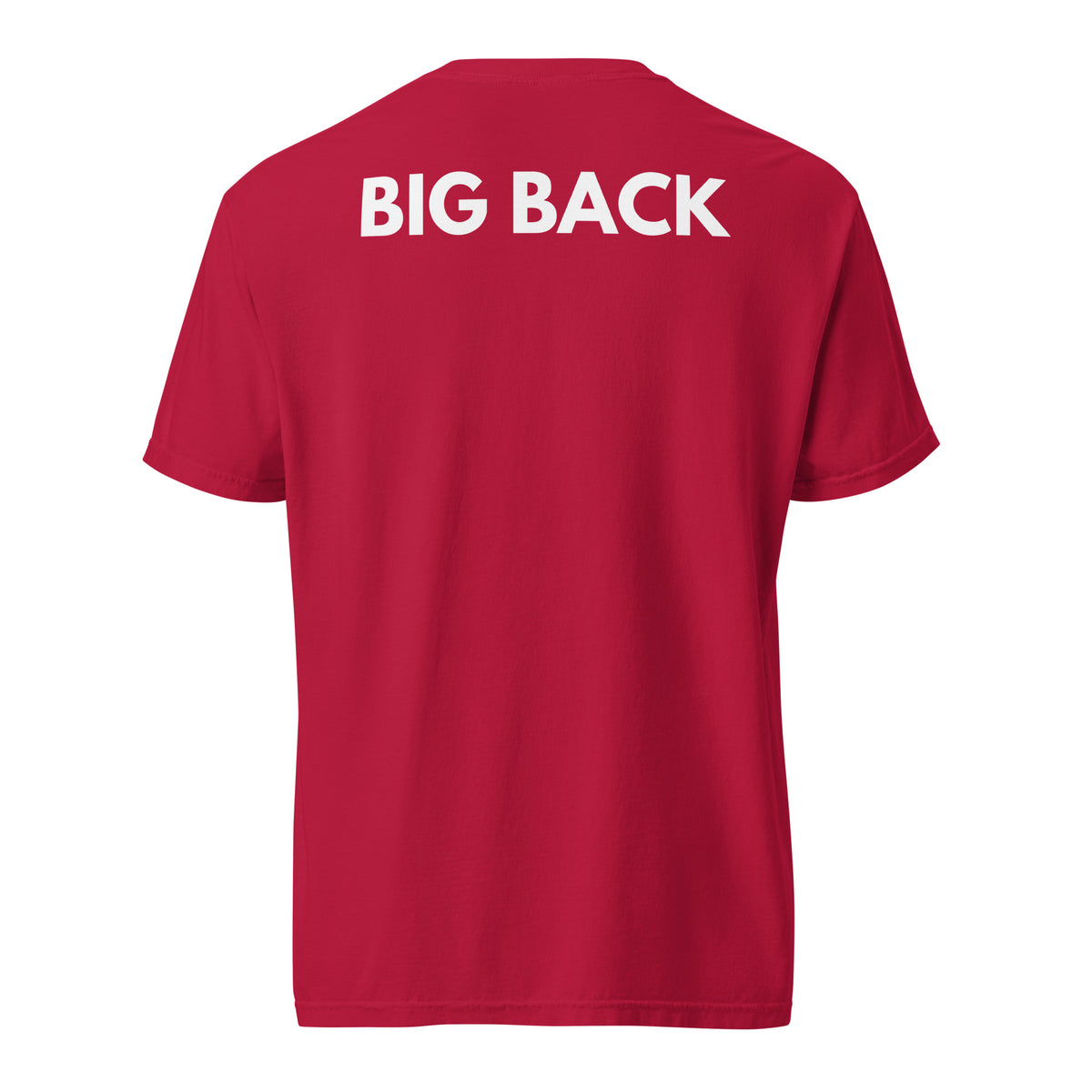 Red T-shirt with white Big Back lettering, back view.