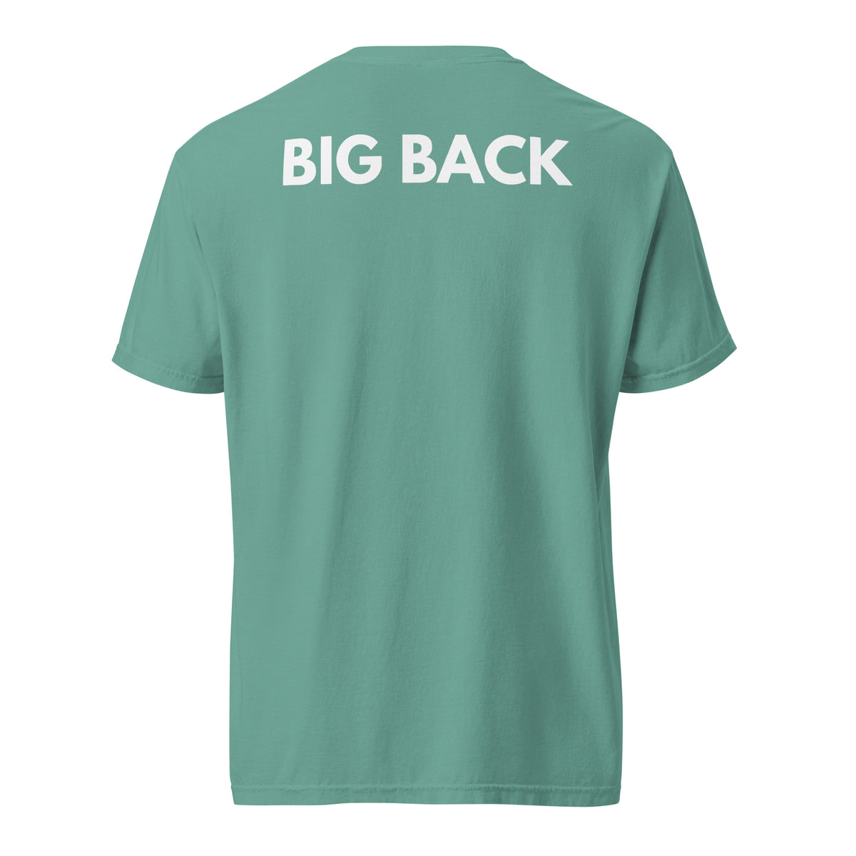Seafoam T-shirt with white Big Back lettering, back view.