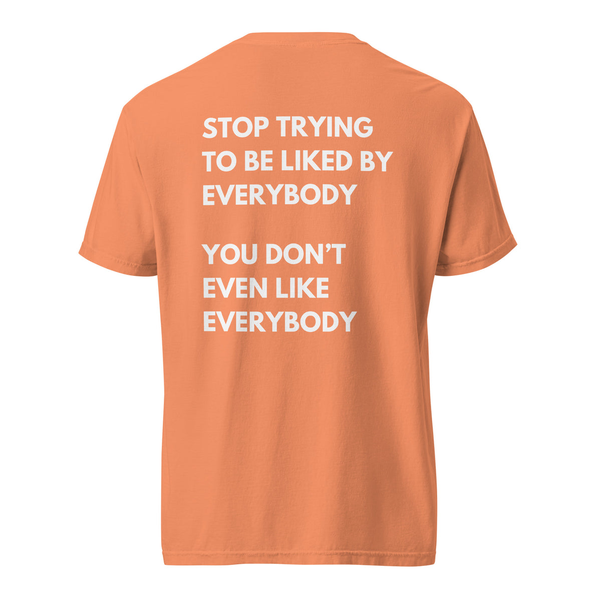 Terracotta T-shirt, back view, with stacked white 'Stop Trying To Be Liked By Everybody' slogan text.