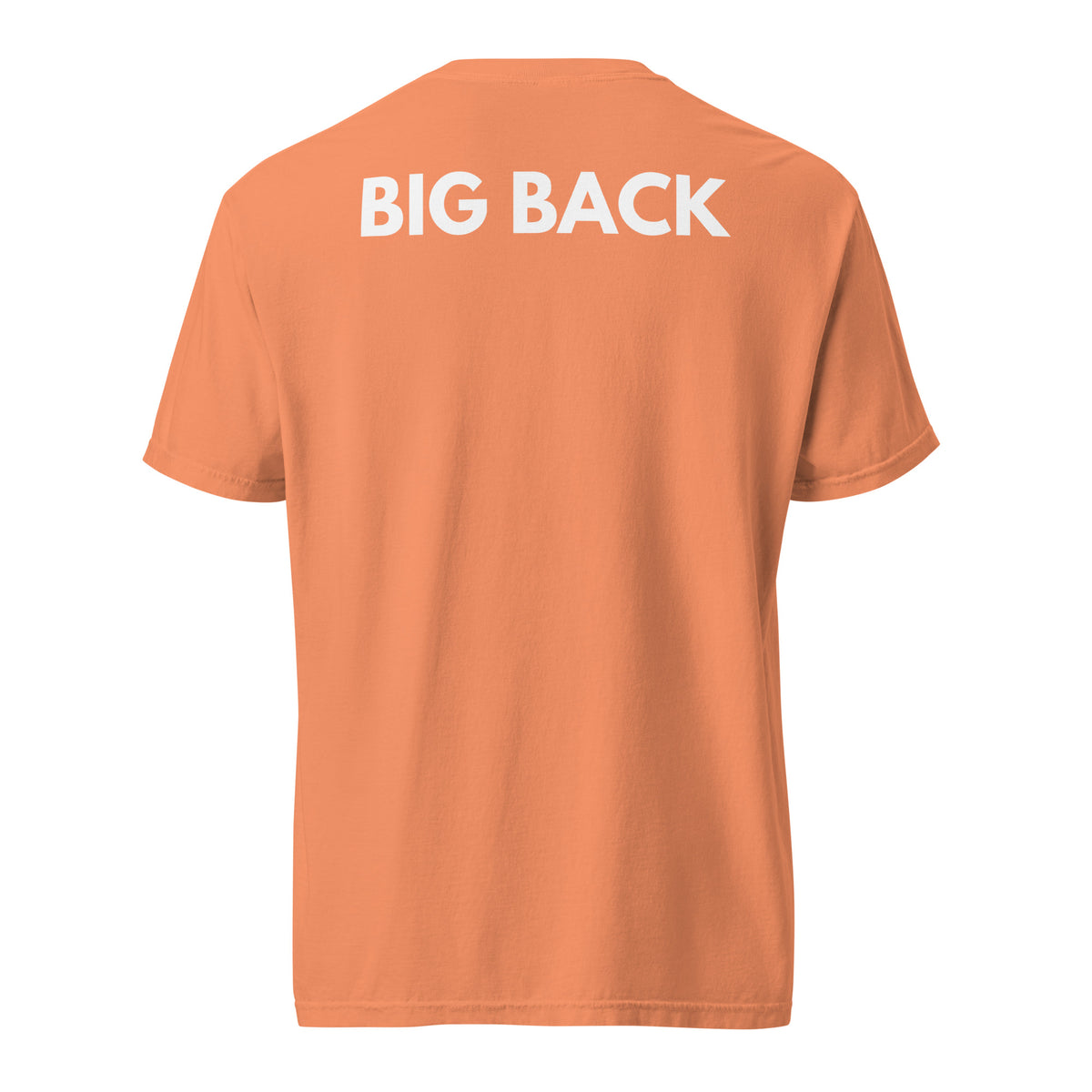 Terracotta T-shirt with white Big Back lettering, back view.
