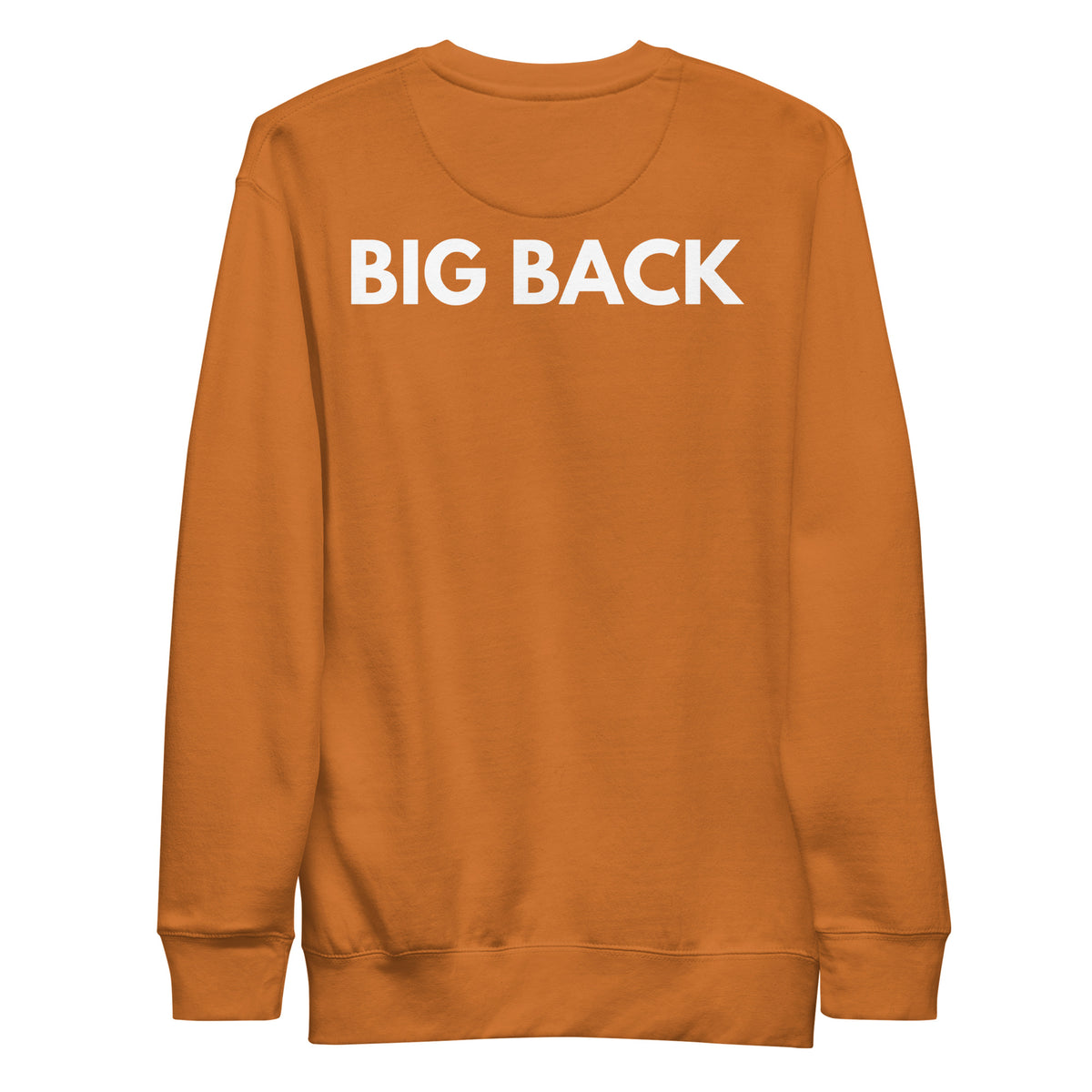 Adobe sweatshirt, back view with white "BIG BACK" lettering on the back.
