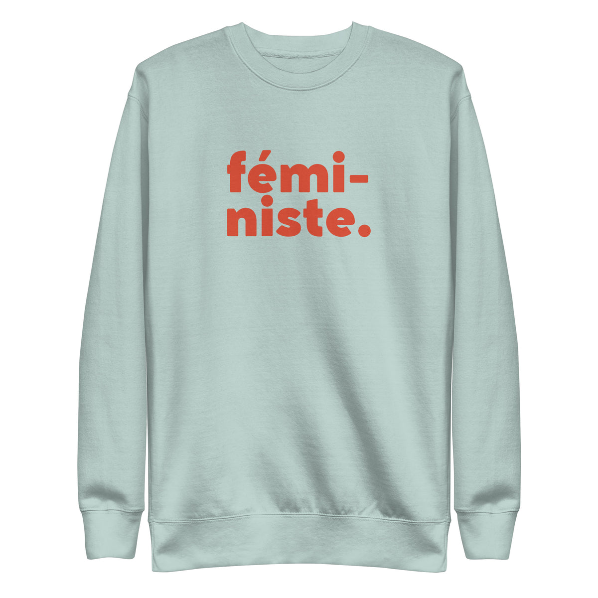 Agave sweatshirt with red fémi-niste lettering, front view.