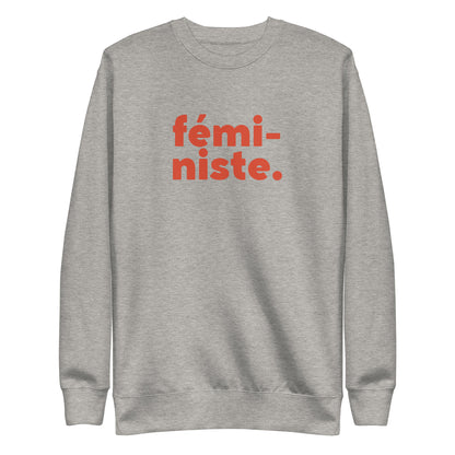 Carbon Grey sweatshirt with red fémi-niste lettering, front view.