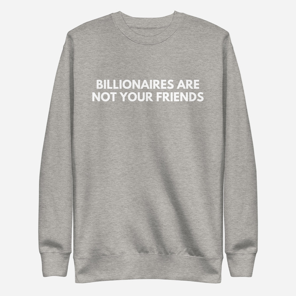 Carbon Grey sweatshirt with white Billionaires Are Not Your Friends lettering, front view.