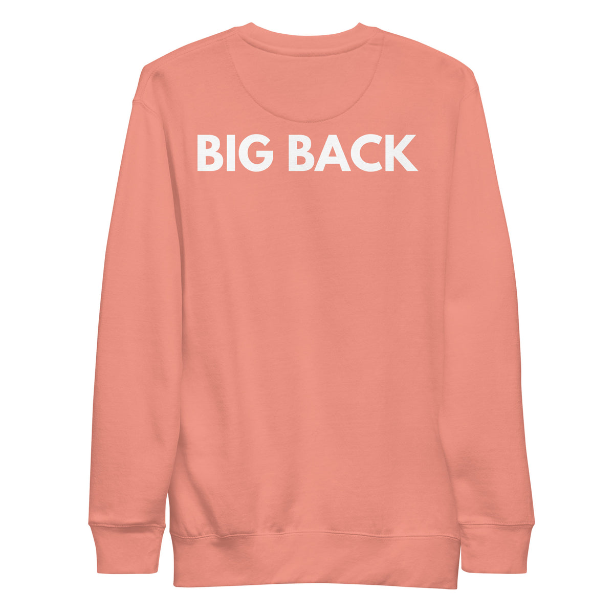 Dusty Rose sweatshirt, back view with white "BIG BACK" lettering on the back.